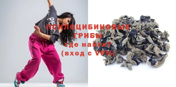 СК Болотное