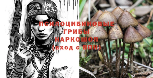 прущий лед Алзамай