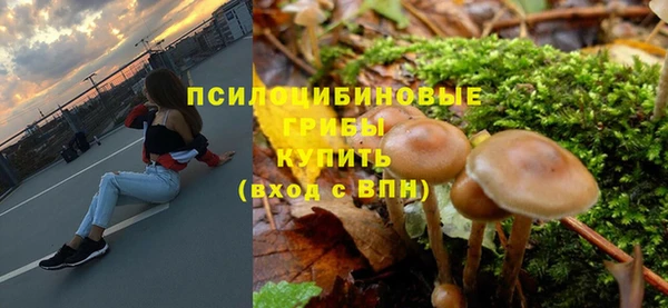 прущий лед Болхов