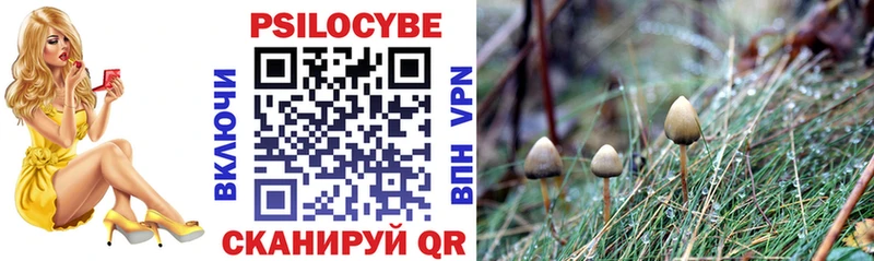 Галлюциногенные грибы GOLDEN TEACHER цены Каргат